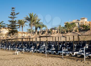 Rows of many relaxing beds and loungers with rush shades on beach