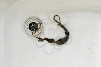 Long clump of hair removed from drain of modern white shower