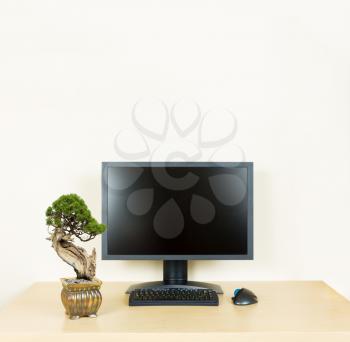 Small old bonsai tree in golden pot on plain wooden desk with computer monitor and keyboard to suggest calm, organization and meditation at work
