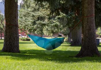 Large person reading a novel in a hammock strung between two large tree trunks in a town park in Colorado
