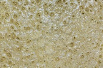 Fermenting mash of barley or hops create bubbles of carbon dioxide as the yeast converts the plants to alcohol