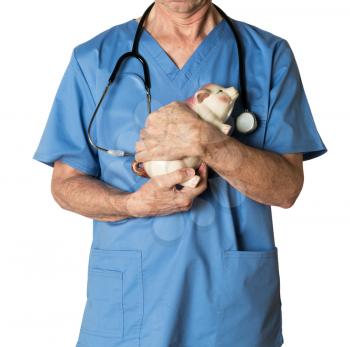 Senior caucasian doctor in scrubs with piggybank for payments for medical services and isolated against white background