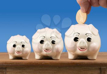 Three piggybanks in small, medium and large sizes sitting on a wooden shelf or table with gold coin being inserted into largest one