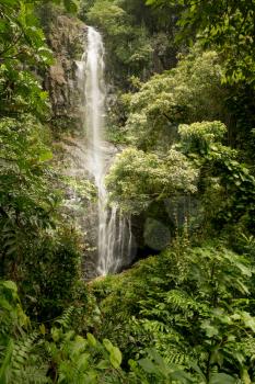Cascade of Wailua Falls between green jungle plants on the road to Hana in Maui, Hawaii