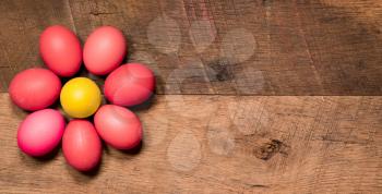 Easter background with painted organic eggs arranged in a flower shape on rustic wooden table