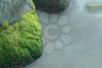 Macro detail shot of the green seaweed on rocks in the ocean as waves are smoothed by long duration exposure