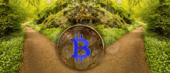 Bitcoin coin in front of a split in the path of a forest to illustrate the concept of a blockchain fork