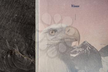 Detail of the visa page in a US passport against a slate background
