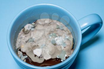 Closeup of mold and fungal spores growing on old gravy left in a coffee cup.