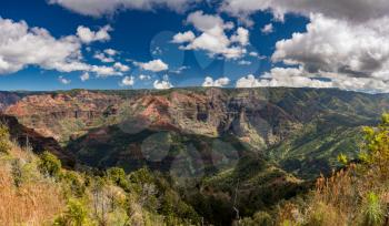 Broad panorama of the red rocks of Waimea canyon from the Iliau Nature trail on Kauai in Hawaii