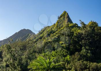 Steep tree covered mountain ridge rises above the Nu'uanu Pali lookout in Oahu