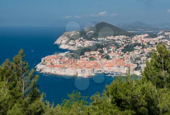 Trees frame an aerial shot of the old town of Dubrovnik and the city walls in Croatia