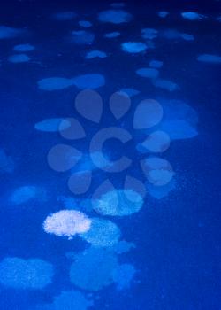 Blue ultra violet light illuminates many stains from pet urine on a carpet in home