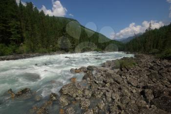 The mountain river in the mountains. Current through the gorge the river. Stones and rocky land near the river. Beautiful mountain landscape.