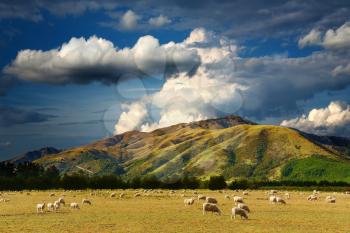 Mountain landscape with grazing sheep and cloudy sky

