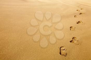 Footprints on sand dune, desert concept

