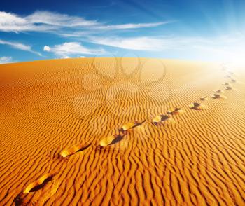 Footprints on sand dune, Sahara Desert, Algeria
