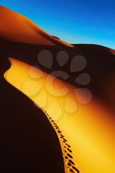 Sand dune with footprints at sunrise, Sahara Desert, Algeria
