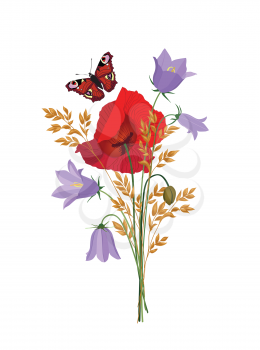 Summer flowers isolated. Floral bouquet. Meadow nature decor with bluebell, poppy and butterfly