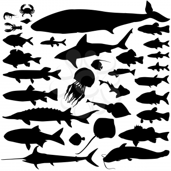 River, sea fish food silhouette set. Marine fish and mammals. Seafood icon collection. Ocean underwater wildlife signs