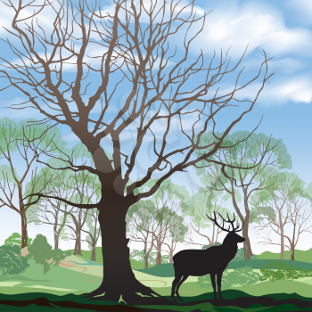 Spring landscape with elk. Abstract vector illustration of spring forest. Spring nature background.