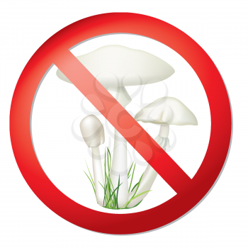 Toadstool isolated on white background. Death-cup mushroom vector illustration. Amanita phalloides.