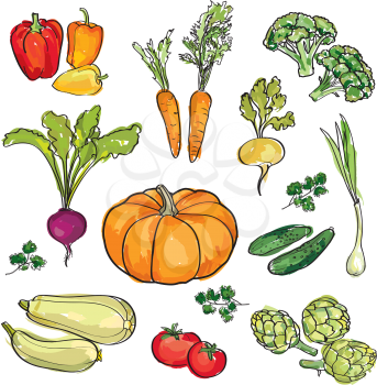 Vegetable set. Hand drawn wtercolor food ingredient collection.
