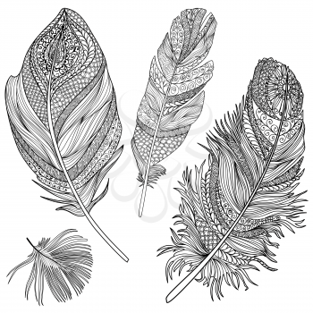 Feather set. Vector feathers on a white background. Vintage tribal feather collection. Series of doodle feather.
