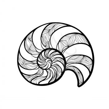 Seashell nautilus. Sea shell set ingraved vector illustration isolated on white background. Doodle sea shell. Marine life ornamental zentangle image