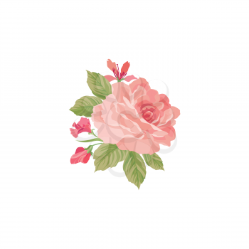 Floral bouquet isolated over white background. Summer flower rose posy. Greeting card with flowers roses. Flourish wallpaper