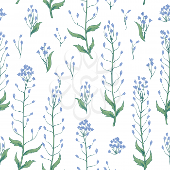Floral seamless pattern. Wild flower nature background. Flourish wallpaper with plants.
