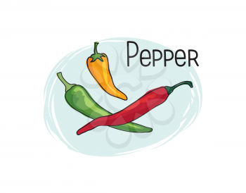 Pepper icon. Half and full spice pepper isolated on white background with lettering Chily Pepper Vegetable stylish drawn symbol pepper 
