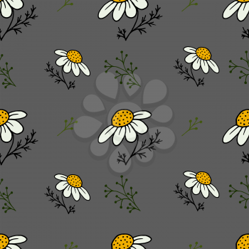 Floral seamless background. Chamomile officinalis. Sprigs, leaves. Gray background