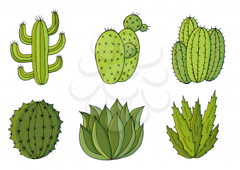 Cute vector illustration. Set of cartoon images of cacti. Cacti, aloe, succulents in a creative collection. Print pin. Decorative natural elements are isolated on white