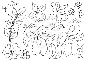 Collection of vector Monochrome elements. Flowers and leaves in hand draw style. Elements for your design. Orchids, leaves and curls