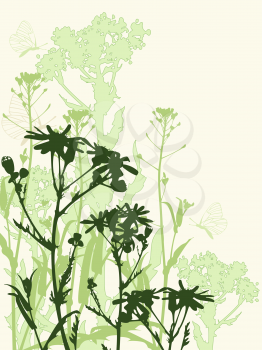 Background with green chamomile flowers  and butterfly