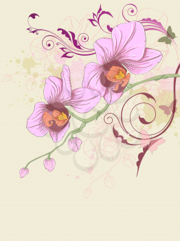 hand drawn vector floral background with orchid and ornament