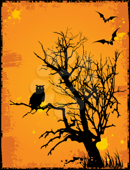 Halloween background  with owl,tree and grunge background