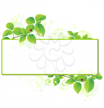 Green vector banner with leaves and floral ornament
