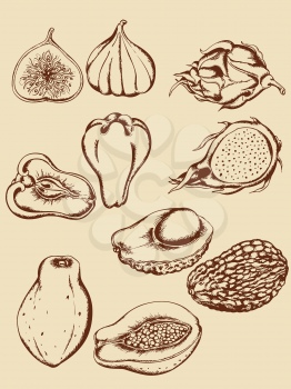 set of vintage hand drawn vector tropical fruits