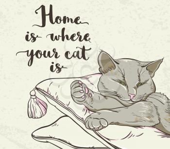 Vector background with cat sleeping on a pillow and lettering.