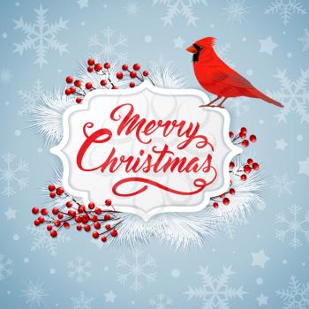 Christmas background with red berries, white fir branch and cardinal bird. Merry Christmas lettering. Design for greeting Christmas card.