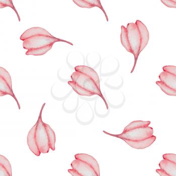 Hand drawn watercolor seamless pattern with red flowers on a white background