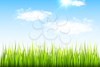 Spring background with fresh green grass and blue sky with clouds. Vector illustration.