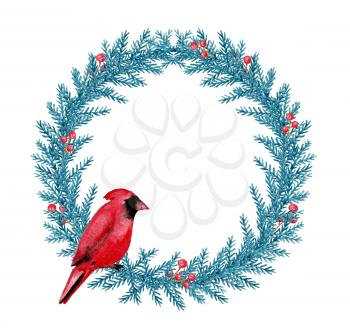 Decorative hand drawn watercolor Christmas wreath. Green fir branches and red cardinal bird on a white background.