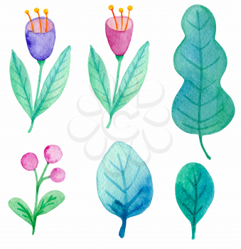 Set of watercolor flowers and leaves on a white background. Hand drawn botanical design elements. Vector illustration
