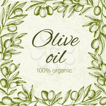 Vintage background with hand drawn green olive branch. Vector illustration