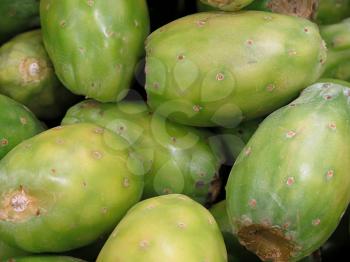 Prickly pear, delicious tropical fruit