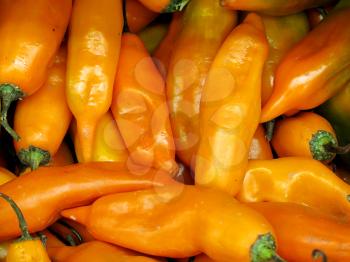 Peruvian yellow chili pepper for sale at the Farmers Market