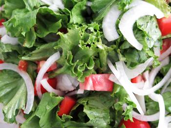 mixed salad with lettuce, tomato and onion
